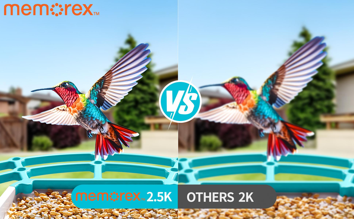 Memorex Solar WiFi Smart Bird Feeder Camera, AI Bird Identification, 2.5K HD, Birding Community App