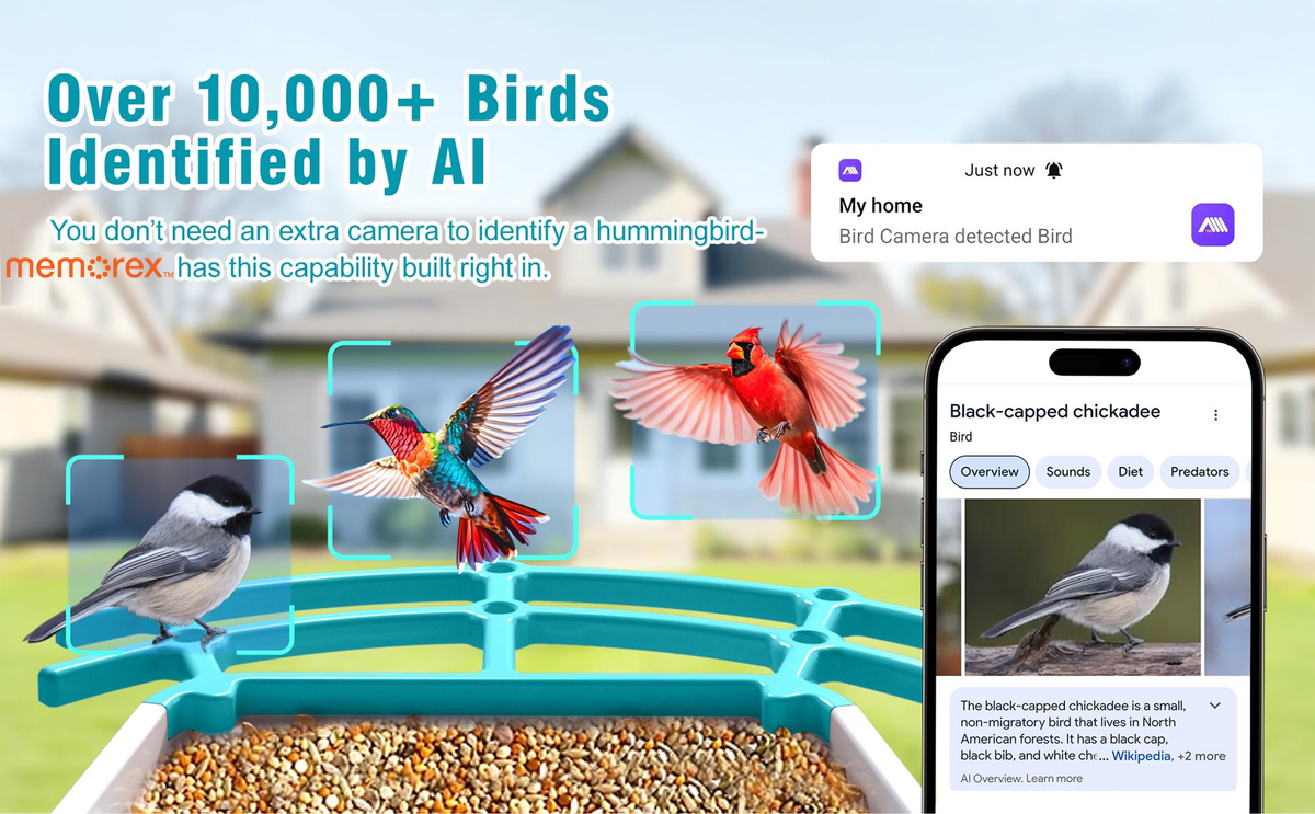 Memorex Solar WiFi Smart Bird Feeder Camera, AI Bird Identification, 2.5K HD, Birding Community App