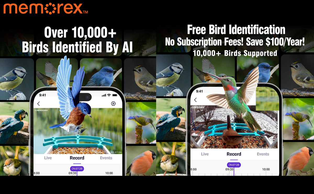 Memorex Solar WiFi Smart Bird Feeder Camera, AI Bird Identification, 2.5K HD, Birding Community App