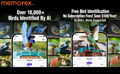 Memorex Solar WiFi Smart Bird Feeder Camera, AI Bird Identification, 2.5K HD, Birding Community App