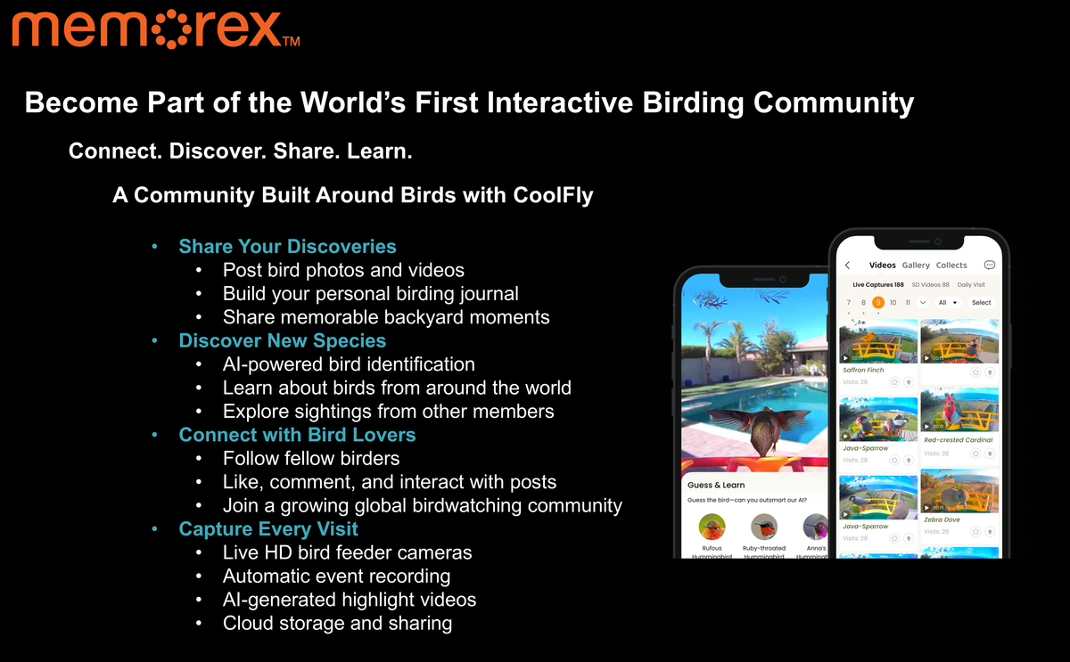 Memorex Solar WiFi Smart Bird Feeder Camera, AI Bird Identification, 2.5K HD, Birding Community App
