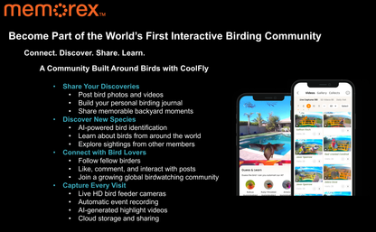 Memorex Solar WiFi Smart Bird Feeder Camera, AI Bird Identification, 2.5K HD, Birding Community App